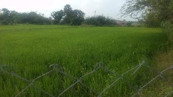  Agricultural Land for Sale in Sirkali, Nagapattinam