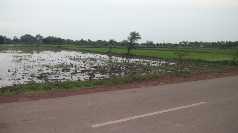  50 Dismil Agricultural/Farm Land for Sale in Fasterpur, Mungeli