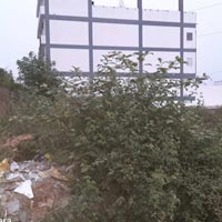  Commercial Land for Sale in Mothrowala, Dehradun