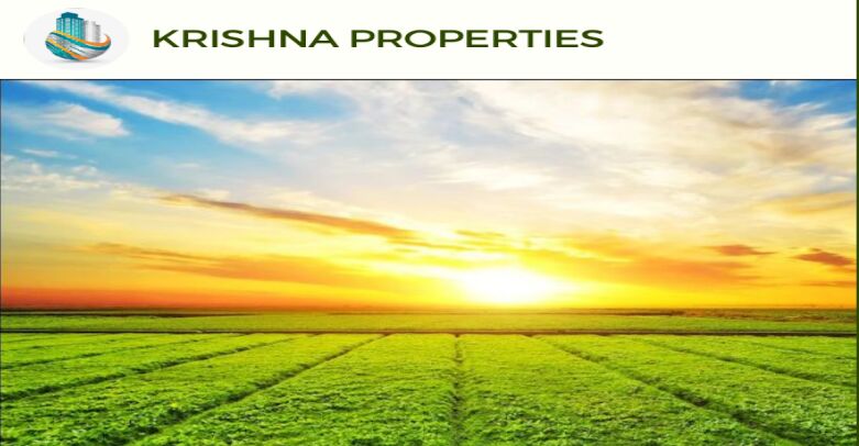  Agricultural Land 100 Bigha for Sale in Brijghat, Moradabad
