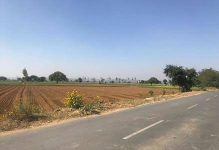  Agricultural Land 1500 Bigha for Sale in Adarsh Colony, Moradabad