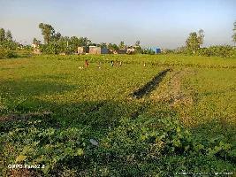  Agricultural Land for Sale in Bajpur, Udham Singh Nagar
