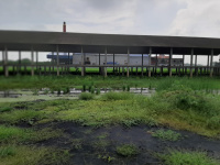  Industrial Land for Sale in Khandra, Bardhaman