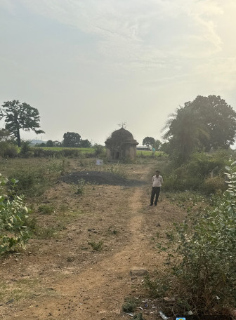Gosalpur, Jabalpur photo 4