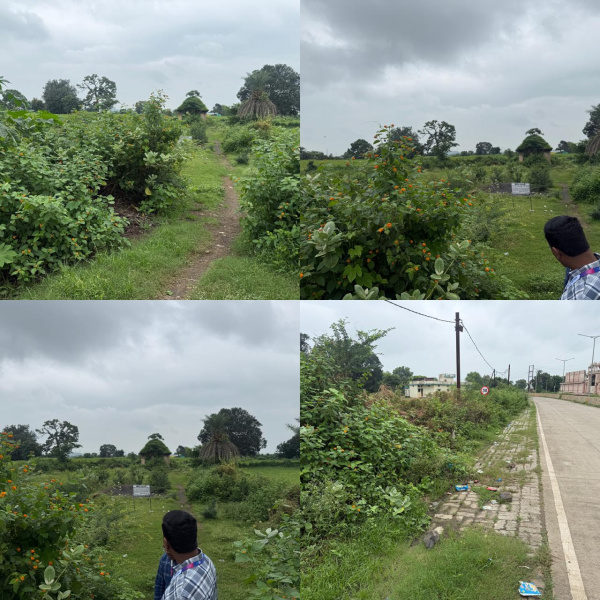Gosalpur, Jabalpur photo 3