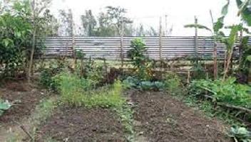  Residential Plot for Sale in Sagolband, Imphal