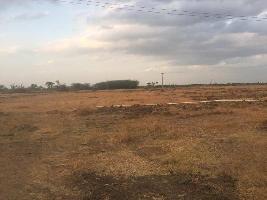  Agricultural Land for Sale in Kariapatti, Madurai