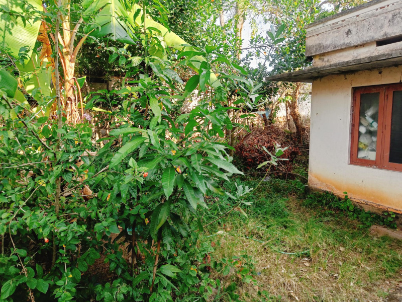  10 Cent Commercial Land for Rent in Valiyavila, Thiruvananthapuram