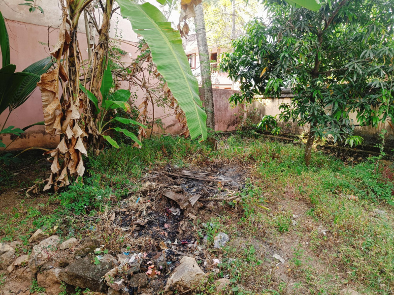  10 Cent Commercial Land for Rent in Valiyavila, Thiruvananthapuram