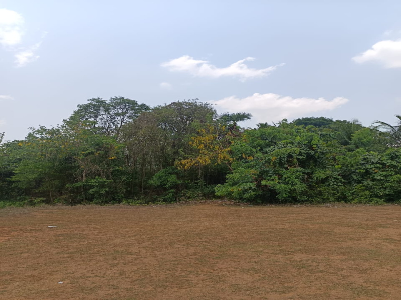 Ottapalam, Palakkad photo 4