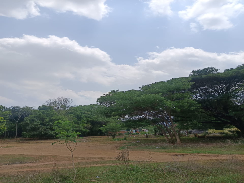 Ottapalam, Palakkad photo 5