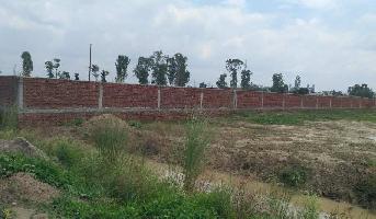  Agricultural Land for Sale in Patholi, Agra