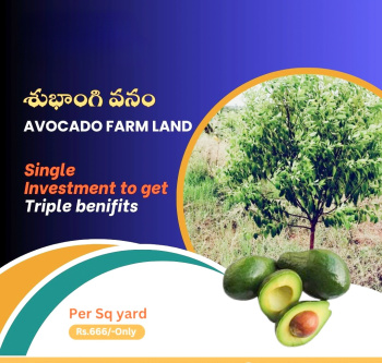  Agricultural Land for Sale in Addanki, Prakasam