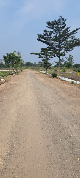  Residential Plot 200 Sq. Yards for Sale in Kanchikacherla, Vijayawada