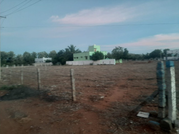  Residential Plot for Sale in Palayamkottai, Tirunelveli