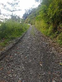  Residential Plot for Sale in Dogaon, Nainital