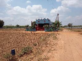  Residential Plot for Sale in Pillaiyarpatti, Thanjavur