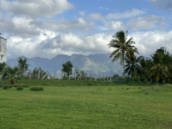  Agricultural Land for Sale in Vettaikaranpudur, Coimbatore
