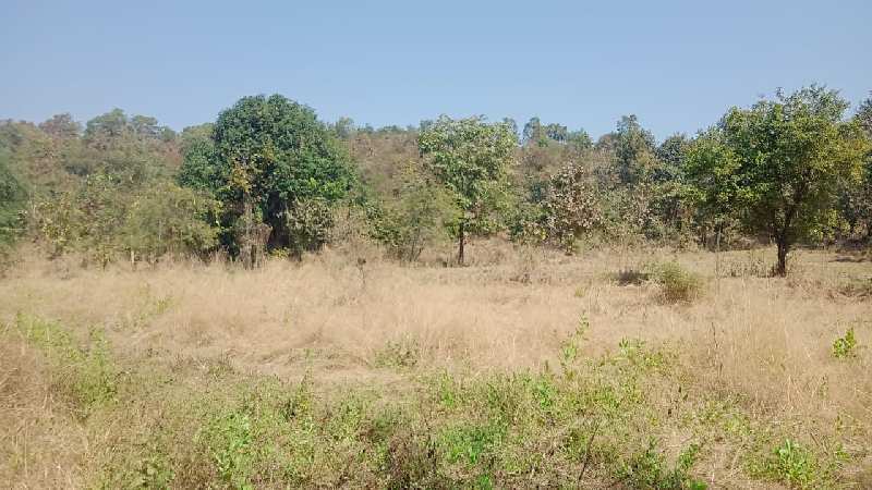  Agricultural Land 6 Acre for Sale in Murbad, Thane