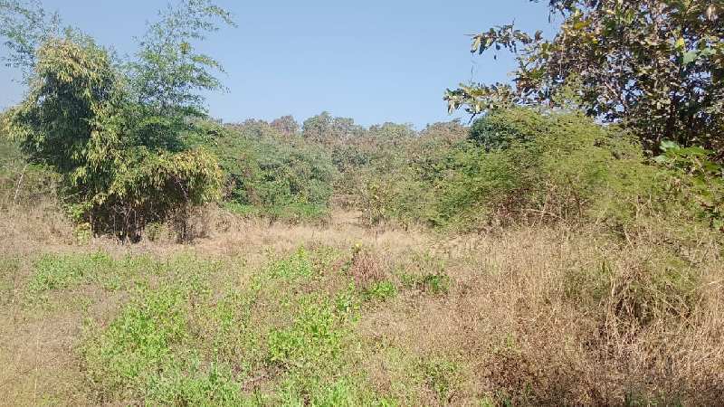  Agricultural Land 6 Acre for Sale in Murbad, Thane