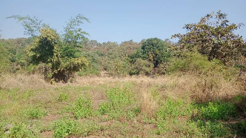  Agricultural Land 6 Acre for Sale in Murbad, Thane