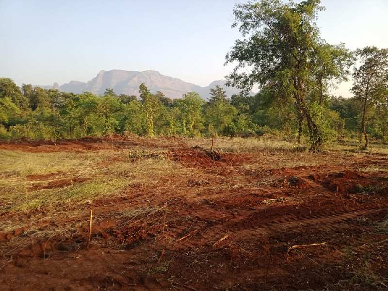  Agricultural Land 2 Acre for Sale in Murbad, Thane