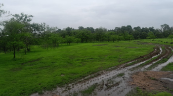  Agricultural Land for Sale in Saralgaon, Murbad, Thane
