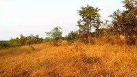  Agricultural Land for Sale in Murbad MIDC, Thane