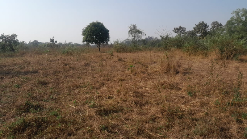  Agricultural Land 15 Acre for Sale in Murbad MIDC, Thane