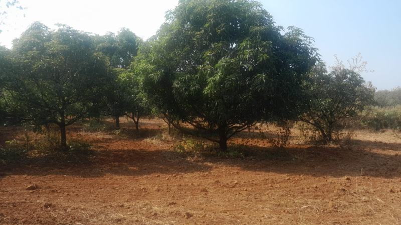  Agricultural Land 20 Guntha for Sale in Muranjan Wadi, Andheri East, Mumbai