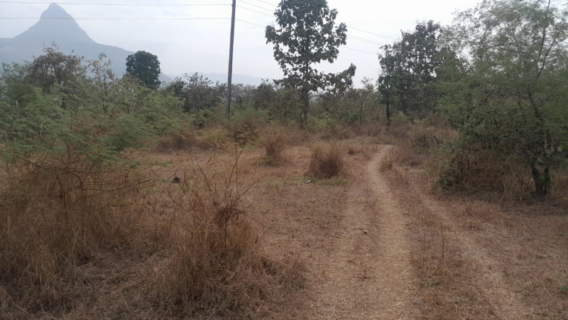  Agricultural Land 41 Guntha for Sale in Murbad, Thane