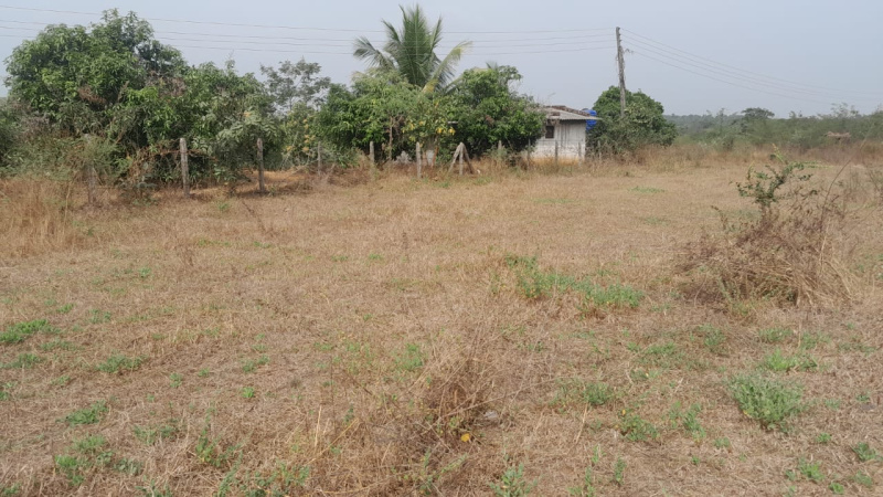  Agricultural Land 41 Guntha for Sale in Murbad, Thane