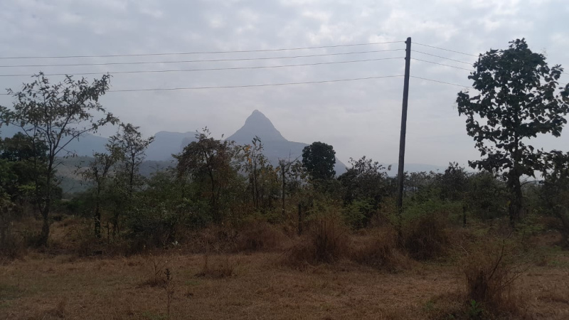  Agricultural Land 41 Guntha for Sale in Murbad, Thane