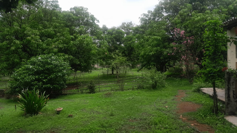  Agricultural Land 13 Acre for Sale in Murbad, Thane