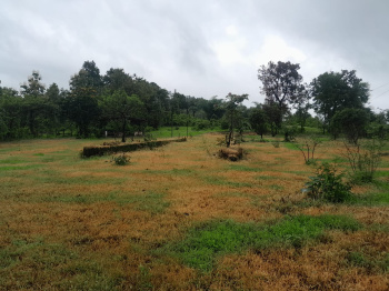  Agricultural Land for Sale in Murbad, Thane