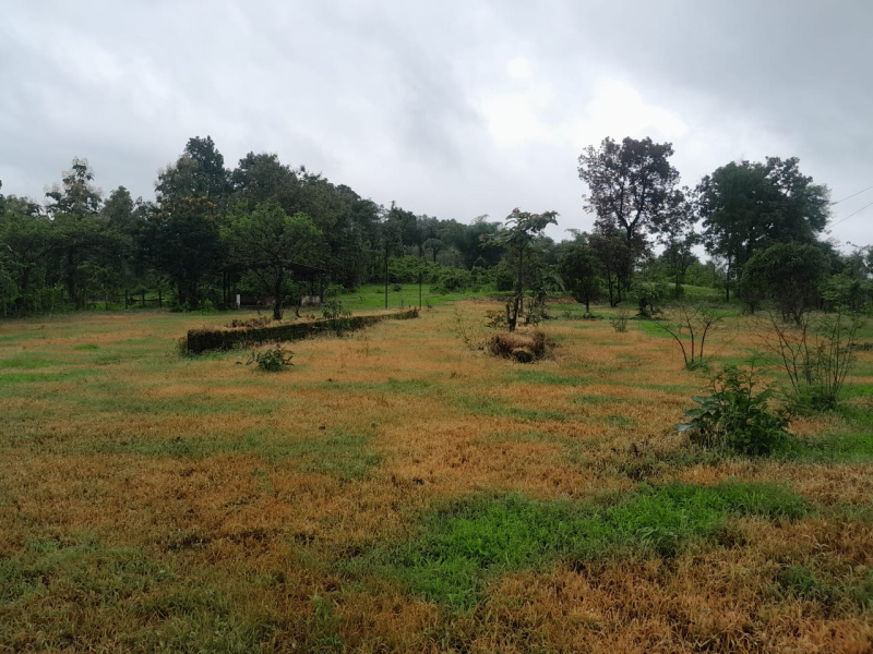  Agricultural Land 29 Guntha for Sale in Murbad, Thane