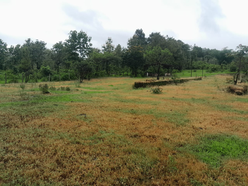  Agricultural Land 29 Guntha for Sale in Murbad, Thane