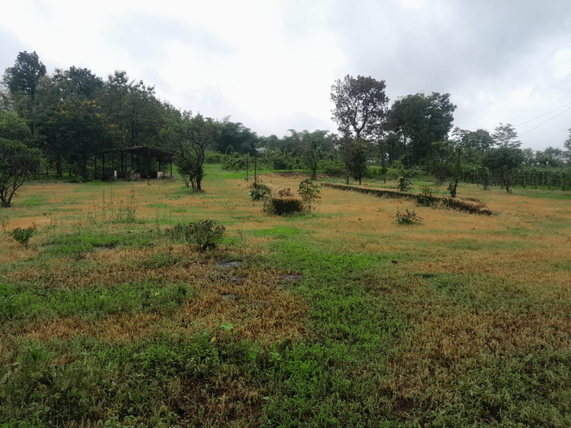  Agricultural Land 29 Guntha for Sale in Murbad, Thane