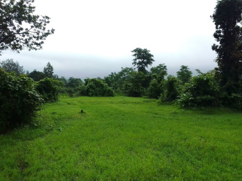  Agricultural Land for Sale in Shahapur, Thane