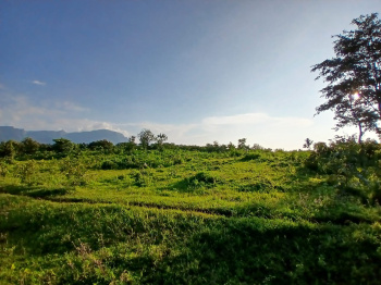  Agricultural Land for Sale in Murbad, Thane