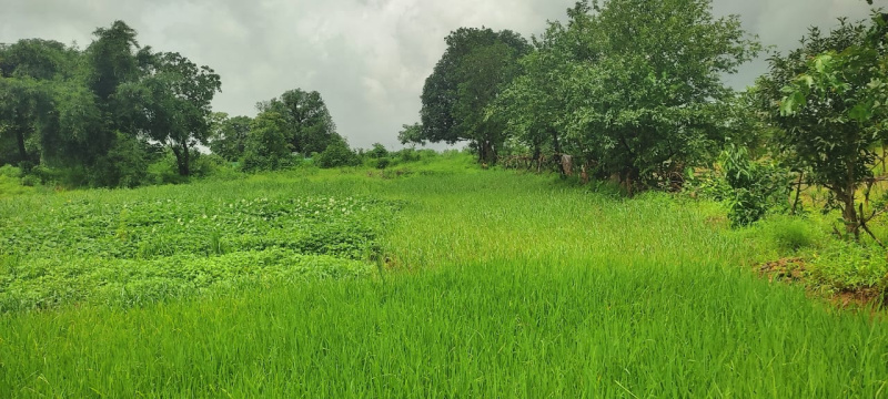  Agricultural Land 14 Acre for Sale in Shahapur, Thane