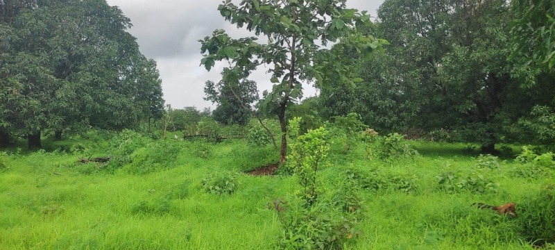  Agricultural Land 14 Acre for Sale in Shahapur, Thane