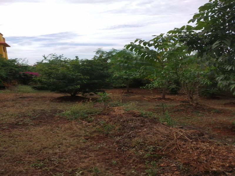  Residential Plot 6500 Sq.ft. for Sale in Shahapur, Thane