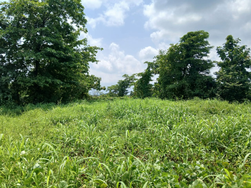  Agricultural Land 21 Guntha for Sale in Murbad, Thane