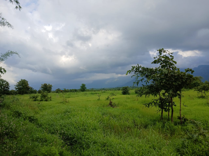  Agricultural Land 21 Guntha for Sale in Murbad, Thane