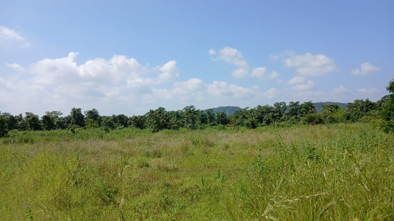  Agricultural Land 7 Acre for Sale in Shahapur, Thane