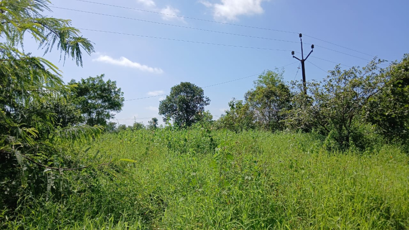  Agricultural Land 6 Acre for Sale in Shahapur, Thane