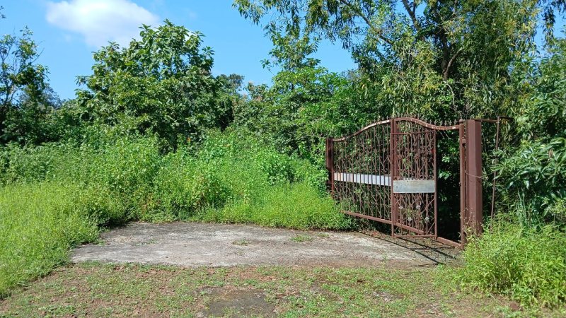  Agricultural Land 6 Acre for Sale in Shahapur, Thane
