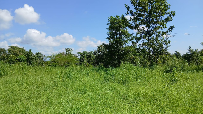  Agricultural Land 6 Acre for Sale in Shahapur, Thane