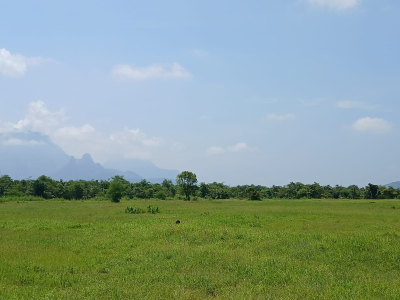  Agricultural Land 6 Acre for Sale in Murbad, Thane